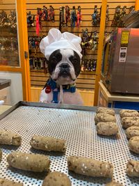 Fornada fresca de pães